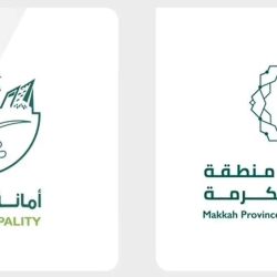 خلال الربع الثاني من عام 2026م.. المملكة تدعم اليمن بمشروعات تنموية مستدامة