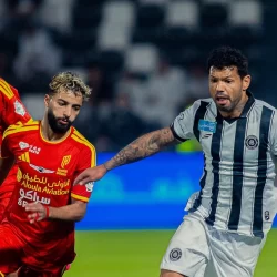 رصد زخة شهب البرشاويات من سماء العُلا
