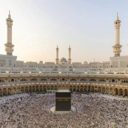 “الغذاء والدواء” تطلق برنامج “نادر” لدعم وصول وتطوير أدوية الأمراض النادرة وتمكين الباحثين والمبتكرين