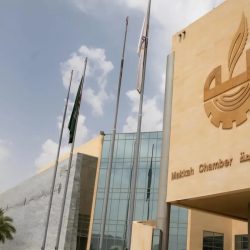 بيع 4 صقور في الليلة الرابعة لمنصة المزاد الدولي لمزارع إنتاج الصقور