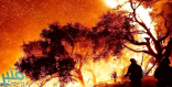 حريق “توماس” يتسبب في إخلاء سانتا باربرا الأمريكية احترازياً