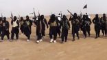 مقتل نحو 50 داعشيًا في ضربات جوية عراقية قرب الحدود مع سوريا