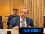 المملكة تدعو مجلس الأمن إلى الاستمرار في تحمل مسؤوليته تجاه مليشيا الحوثي