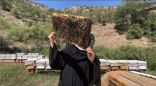 “ريف السعودية”: (140) مليون ريال دعم قطاع العسل وتحقيق أكثر من (3) آلاف طن