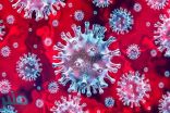 فيروس كورونا.. آخر التطورات وأبرز الحقائق لحظة بلحظة