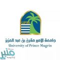 وظائف للجنسين بـ جامعة الأمير مقرن بن عبدالعزيز