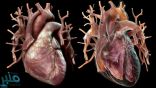 انفراجة ثورية.. ابتكار علاج يُحيي خلايا القلب الميتة
