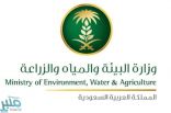 “البيئة” تطلق بوابة إلكترونية لاستقبال طلبات العمالة الزراعية من جميع مناطق المملكة