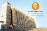 “الحبوب” تطرح المناقصة الخامسة لاستيراد 535 ألف طن من القمح