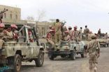 الجيش اليمني يحبط محاولة تسلل لميليشيا الحوثي الانقلابية جنوبي محافظة الحديدة