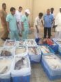 مصادرة أكثر من (300) كيلو جرام من الأسماك التالفة في #مكة_المكرمة