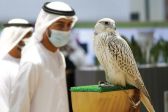 هيئة تطوير محمية الإمام تركي بن عبدالله الملكية تشارك في معرض أبوظبي الدولي للصيد والفروسية