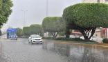 الأرصاد: هطول أمطار رعدية على عدد من مناطق المملكة