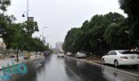 “الأرصاد” تنبه من هطول أمطار رعدية على منطقة الباحة