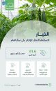 ” البيئة”: أكثر من 61.6 ألف طن الطاقة الإنتاجية للبيوت المحمية من محصول الخيار سنوياً