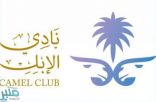 نادي الإبل يعلن عن فئات مهرجان الملك عبد العزيز الرابع للإبل