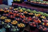 موسم الفاكهة الصيفية ينعش الإنتاج الزراعي في منطقة عسير