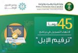 “البيئة” : 45 يوماً لانتهاء التسجيل في برنامج ترقيم الإبل