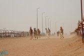 منافسة مشتعلة في فعاليات اليوم الثالث من سباق الهجن بموسم حائل