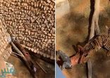 بيان من أمانة الرياض حول “هجوم نمر على زائر” في حديقة الحيوان