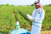 بيئة القنفذة تكثّف جولاتها الرقابية للتأكد من سلامة المنتجات الزراعية