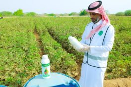 بيئة القنفذة تكثّف جولاتها الرقابية للتأكد من سلامة المنتجات الزراعية