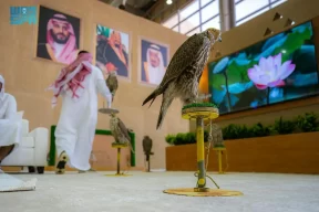 مهرجان الملك عبدالعزيز للصقور 2025 يعزّز الحراك الاقتصادي والسياحي في الرياض