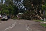 انقطاع الكهرباء عن آلاف المنازل بعد اجتياح عواصف ولاية فكتوريا الاسترالية