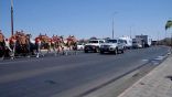 بالهجن والسيارات الرسمية .. مسيرة احتفاء للقافلة الزراعية الارشادية بالطائف