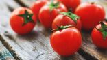 الطماطم لتحسين الخصوبة.. دراسة تكشف العلاقة الصحية