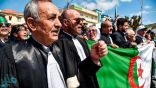 إضراب “غير مسبوق” للقضاة في الجزائر