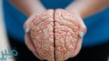 اختراق مذهل.. علماء يكشفون كيف يبني المخ الذاكرة الاستشعارية
