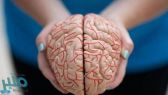 اختراق مذهل.. علماء يكشفون كيف يبني المخ الذاكرة الاستشعارية