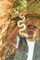 كبير هواة الثعابين في السعودية يقتحم موسوعة جينيس للأرقام القياسية