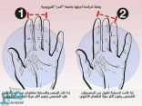 دراسة تكشف علاقة غريبة بين أصابع اليد وتفضيلات الطعام