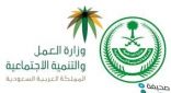 الداخلية والعمل تقران برنامج التوطين في مناطق المملكة