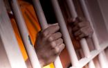 السجن والغرامة للمُحرضين عبر مواقع التواصل