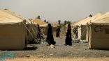 الحكومة العراقية تنفي نيتها نقل أسر ”داعش“ من #سوريا إلى جنوب الموصل