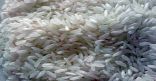 “الغذاء والدواء” تتخذ الإجراءات اللازمة لمنع دخول “أرز البلاستيك” إلى الأسواق المحلية