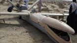 تحطم طائرة باكستانية بدون طيار في إقليم البنجاب