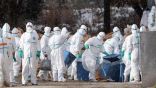 اليابان تبدأ عمليات إعدام بالجملة لأكثر من 300 ألف دجاجة وبطة بعد تأكد تفشي سلالة شديدة العدوى من إنفلونزا الطيور في شمال البلاد