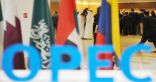 أسعار النفط تقفز 5% وسط توقعات بخفض إنتاج أوبك