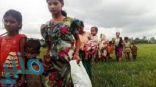 حرس الحدود ببنجلادش يمنع دخول الاف من المسلمين الروهينجا الفارين من العنف في ميانمار