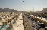 مؤتمر الحج: ساعات ويكتمل توافد الحجاج .. ومشاركة 100 ألف رجل أمن