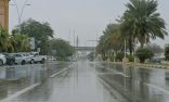 المركز الوطني للأرصاد : أمطار خفيفة على محافظة بدر