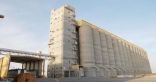 مؤسسة الحبوب تنهي ترسية استيراد 1.5 مليون طن من الشعير