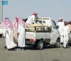 حراك وإقبال على أسواق المواشي والمسالخ بالباحة قبيل شهر رمضان