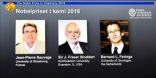 3 علماء يفوزون بجائزة نوبل في الكيمياء لعام 2016