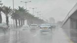 “الأرصاد” ينبّه 7 مناطق: أمطار متوسطة ورياح نشطة وأتربة مثارة