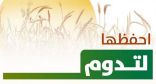 احفظها لتدوم.. مبادرة وطنية للحد من الفقد والهدر في الغذاء